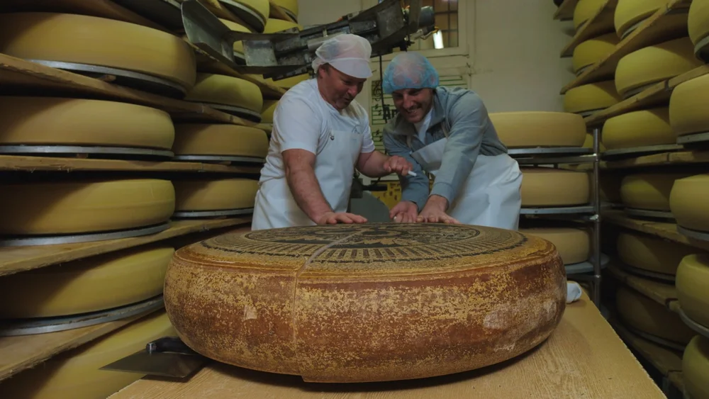 Switzerland cheese round